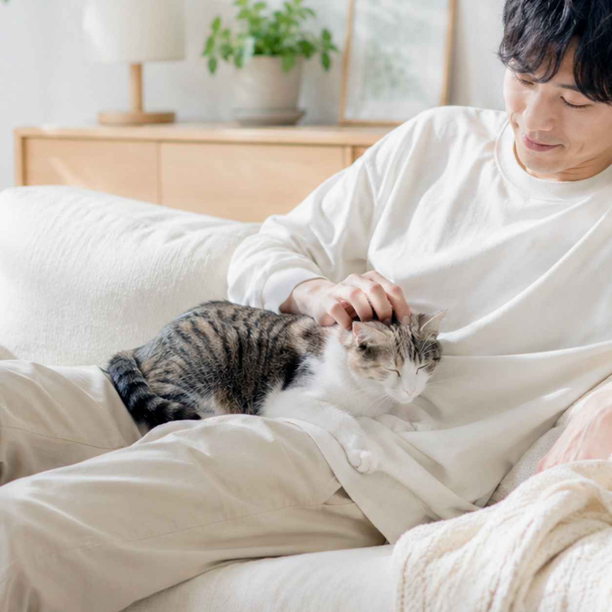 Relaxed home scene